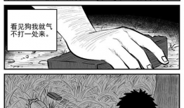 猎奇 漫画,揭秘禁忌边缘的惊悚世界
